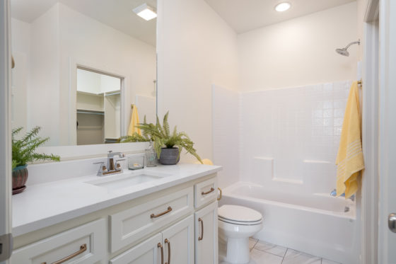 Bathroom with white cabinetry